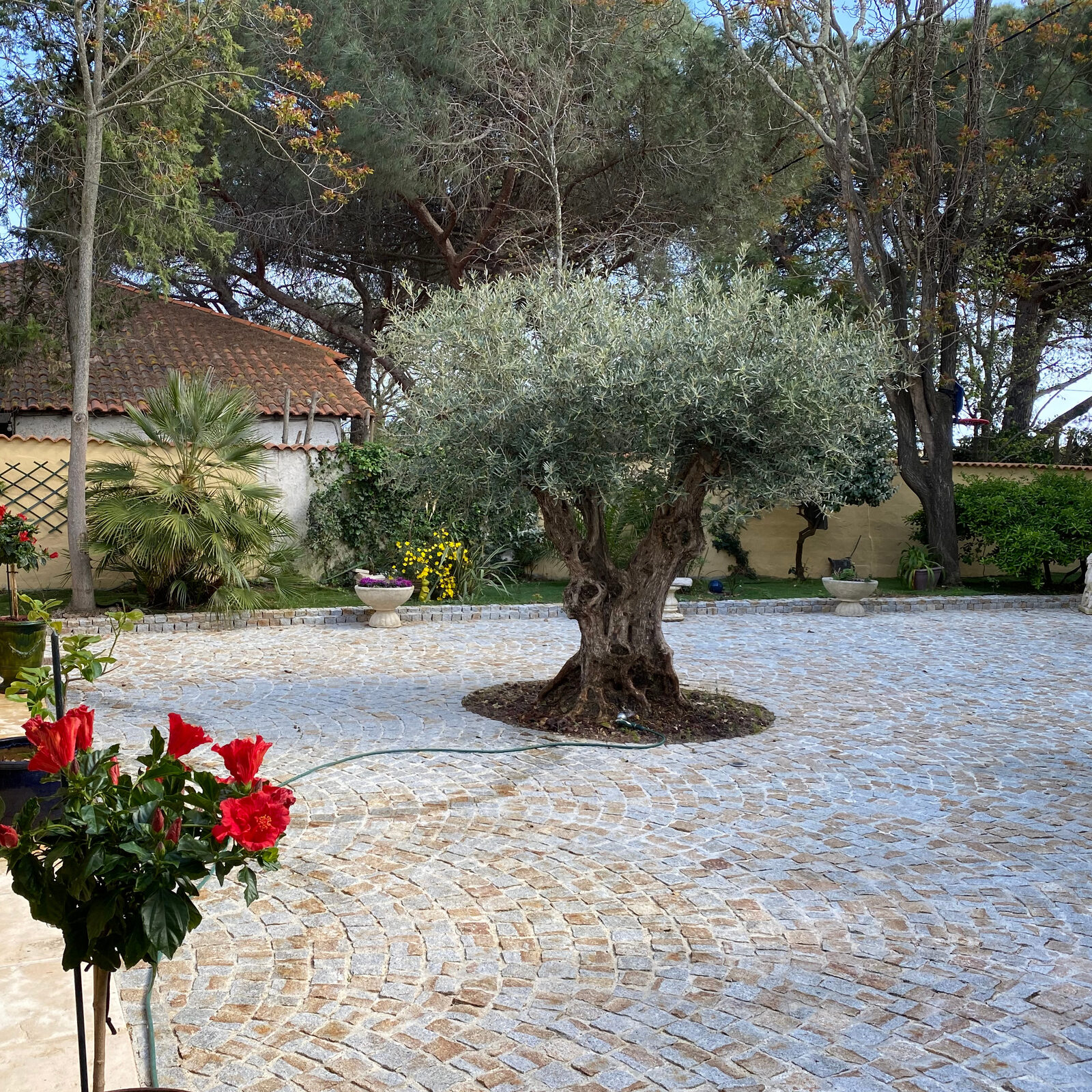 Mixed granite setts with double border